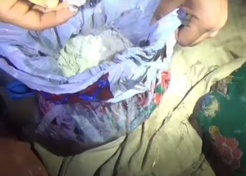 Шу ауданы маңынан ірі көлемде есірткі тәркіленді