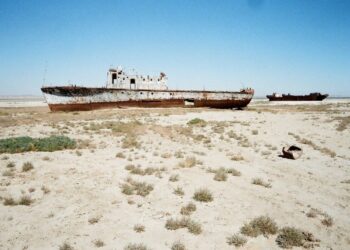 Алғаш рет қазақстандық деректі фильм Netflix-те көрсетіледі