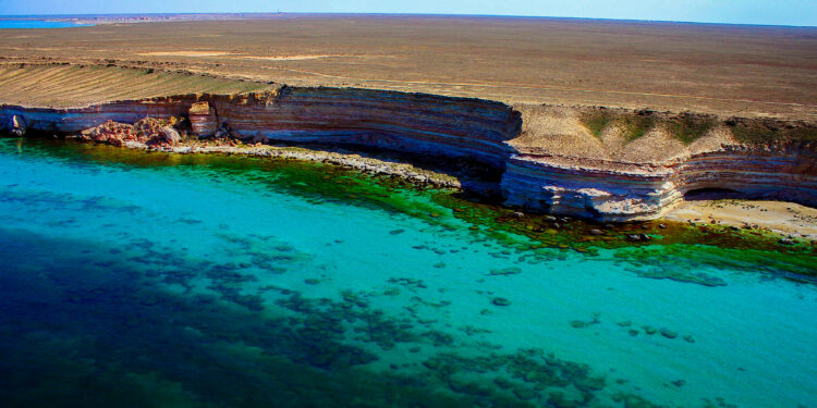 Токаев подписал закон о защите Каспия
