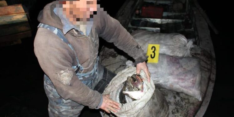 ШҚО-да браконьерден 100 келіге жуық балық тәркіленді