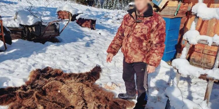 Шығыс Қазақстанда аю атқан браконьер ұсталды