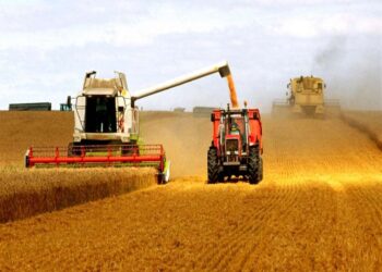 Қазақстанда егін жинау аяқталып, 16 млн тонна астық бастырылды   