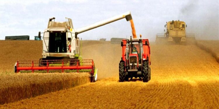 Қазақстанда егін жинау аяқталып, 16 млн тонна астық бастырылды   