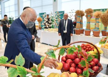 Түркістан облысының ауыл шаруашылығы саласында рекордтық өнім жиналды