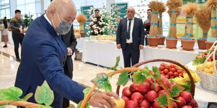 Түркістан облысының ауыл шаруашылығы саласында рекордтық өнім жиналды