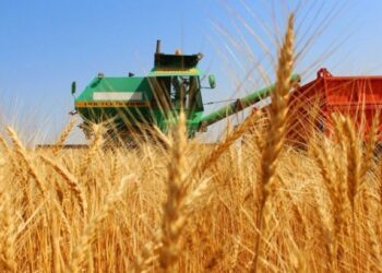 Ақылбек Күрішбаев аграрлық саланы субсидиялаудағы 3 мәселені атады