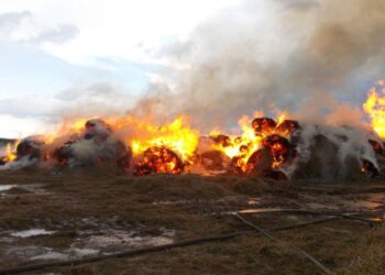 ШҚО-да 300 тоннаға жуық шөп өртенді