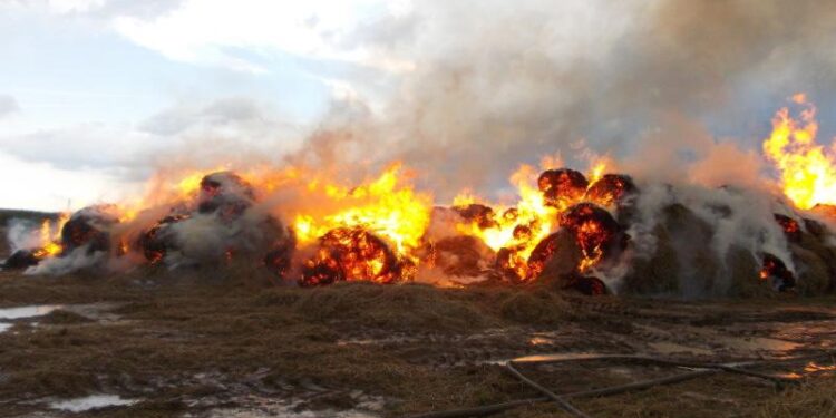 ШҚО-да 300 тоннаға жуық шөп өртенді