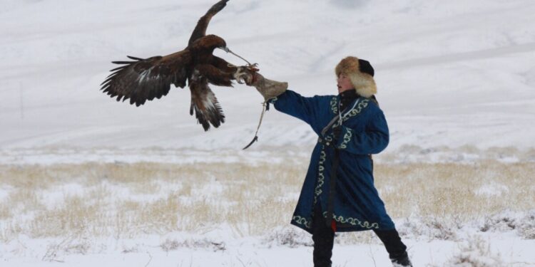 Бүркіт баптаудың сырын білемісіз?