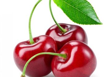 Шие тәтті, еңбегі қатты