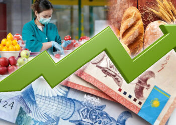 Қымбатшылық қайда апарады?