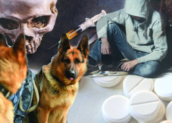 Әлеуметтік кесел әл бермей тұр