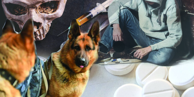 Әлеуметтік кесел әл бермей тұр