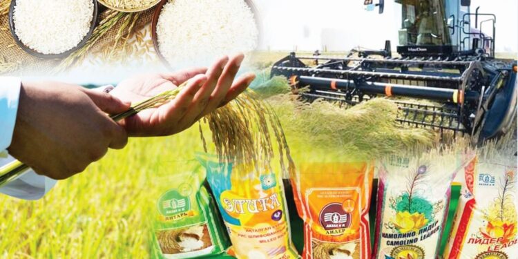 Күріштің құны күрт өсті