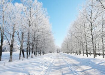 Қазақстанның бірнеше облысында тұманға байланысты дауылдық ескерту жарияланды