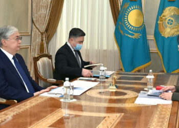 Мемлекет басшысы Экология және табиғи ресурстар министрі Зүлфия Сүлейменованы қабылдады