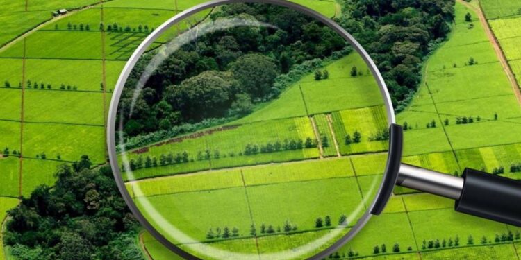 БРЕНДТІ ӨНІМДЕРГЕ БЕТ БҰРУ КЕРЕК