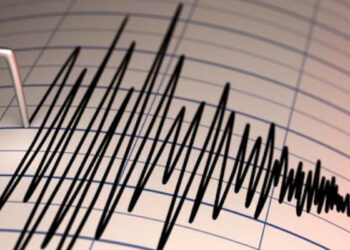 Қырғызстан мен Қытай шекарасында жер сілкінді