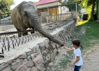 Хайуанаттар бағы қажет пе?