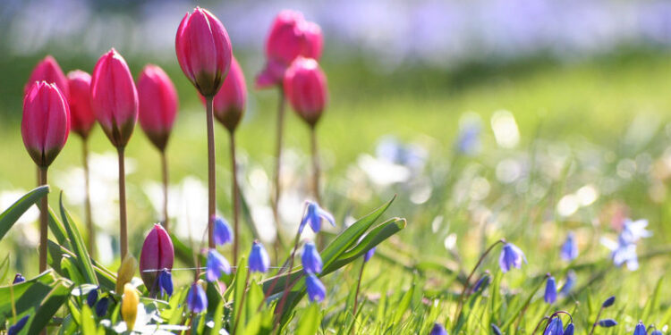 Наурызда қазақстандықтар қанша күн демалады?