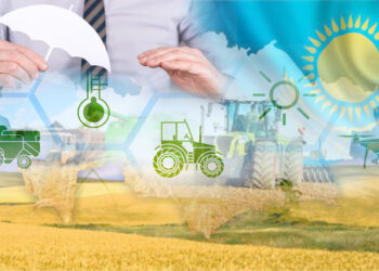 Шағын шаруашылықты кім сақтандырады?