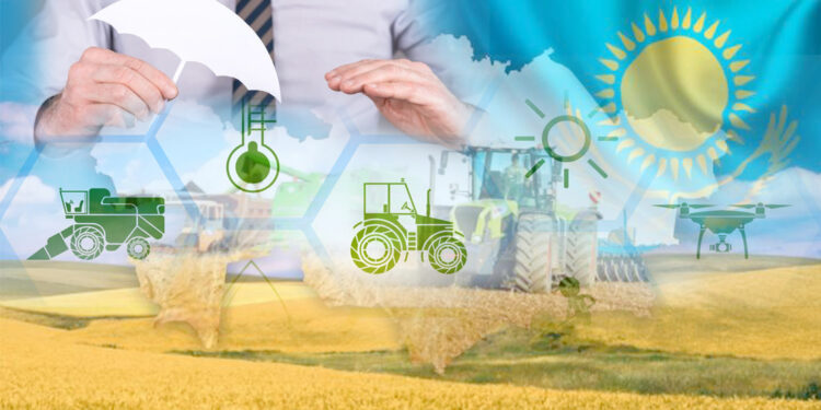 Шағын шаруашылықты кім сақтандырады?