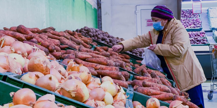 Әкімдіктер азық-түлік сататын делдалдарды көбейтіп отыр – Смайылов