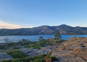 Балқаш, Қапшағай, Алакөл мен Баянауылды 100 пайыз мобильді байланыспен қамтимыз – Үкімет