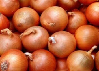 Өзбекстан пияз экспортына салынған тыйымды алып тастады