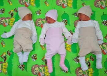 Үшем дүниеге келді