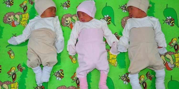 Үшем дүниеге келді