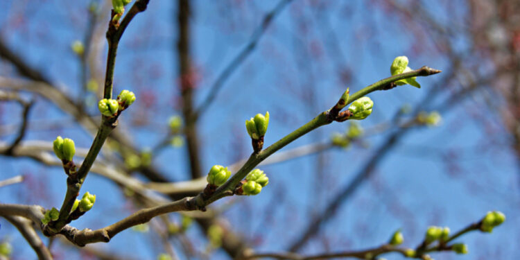 Синоптиктер алдағы 3 күнде ауа райы қандай болатынын айтты