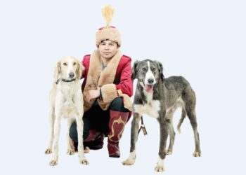 Тазы мен төбетті түгендейтін талап