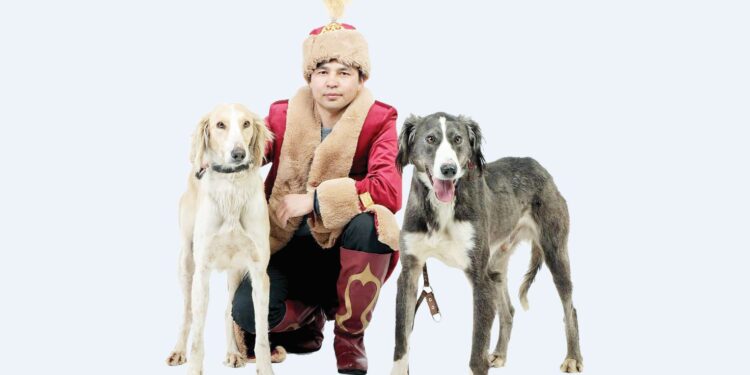 Тазы мен төбетті түгендейтін талап