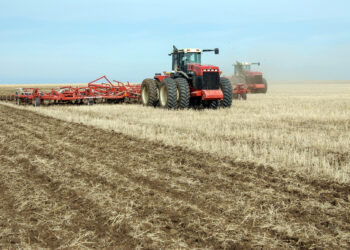 Шаруаны не алаңдатады?