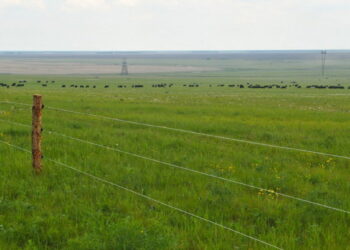 Қазақстанда жер телімін алу оңайлай түспек