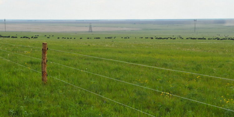 Қазақстанда жер телімін алу оңайлай түспек