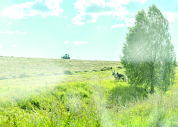 Латифундистер заңға бағынбай ма?