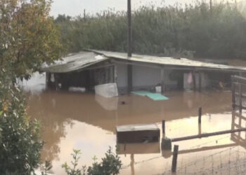 Конгода су тасқынынан 176 адам көз жұмды