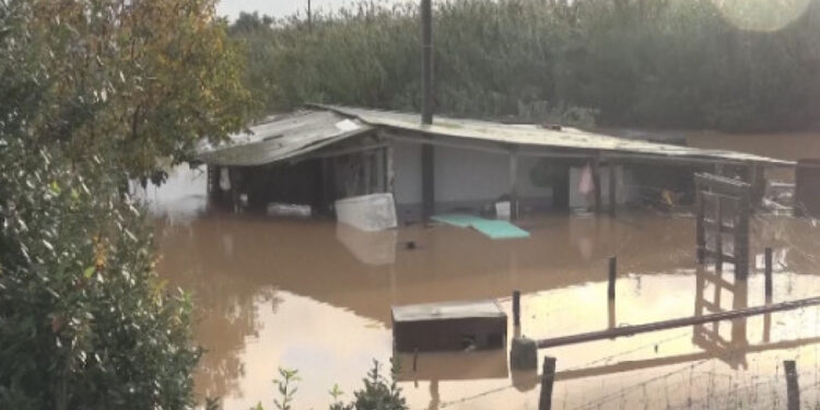 Конгода су тасқынынан 176 адам көз жұмды