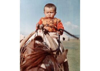 Дәстүр: Қазақта жиеннің орны қандай?