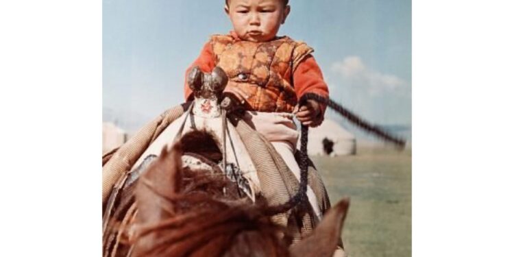 Дәстүр: Қазақта жиеннің орны қандай?