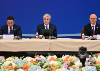 Мемлекет басшысы қазақ-қытай инвестициялық дөңгелек үстеліне қатысты