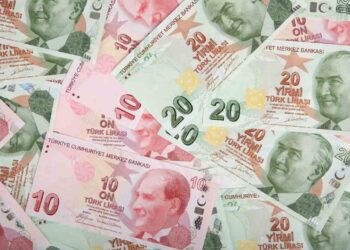 Түрік лирасы рекордтық деңгейге дейін құнсызданды