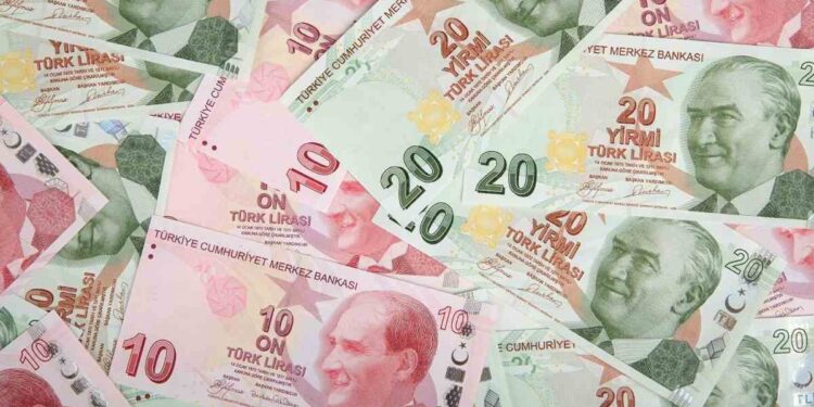 Түрік лирасы рекордтық деңгейге дейін құнсызданды