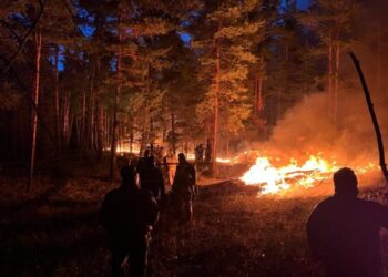 Орман өрті өршіді: Абай тұрғындары үйлерін тастап кетіп жатыр