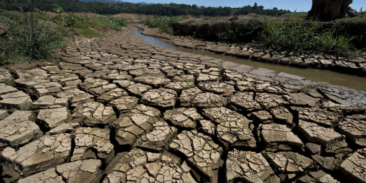 Биыл жазда Қазақстанда құрғақшылық бола ма?