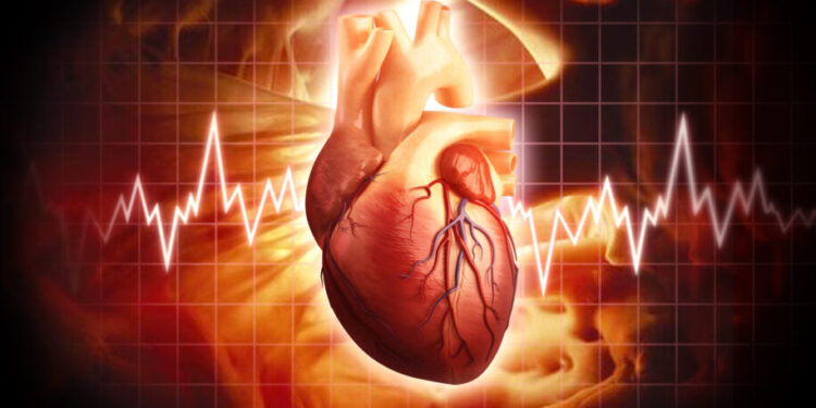 Жүректі сақтаудың 7 жолы