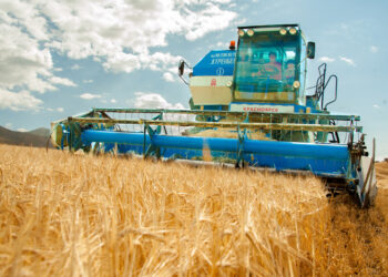 Қазақстан Қытайға 1 млн тоннаға дейін астық экспорттауға ниетті