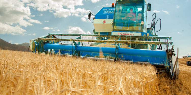 Қазақстан Қытайға 1 млн тоннаға дейін астық экспорттауға ниетті